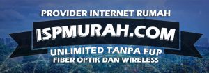 Kehadiran dan juga keberadaan para pengembang layanan jaringan internet di-Indonesia